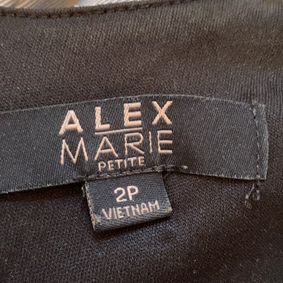 Alex Marie dress ~ size 2P - Picture 3 of 5